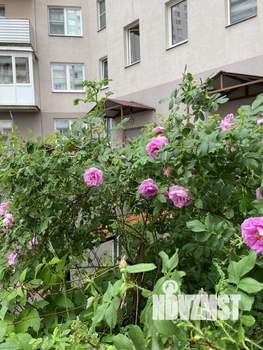 2-к квартира, вторичка, 62м2, 5/24 этаж